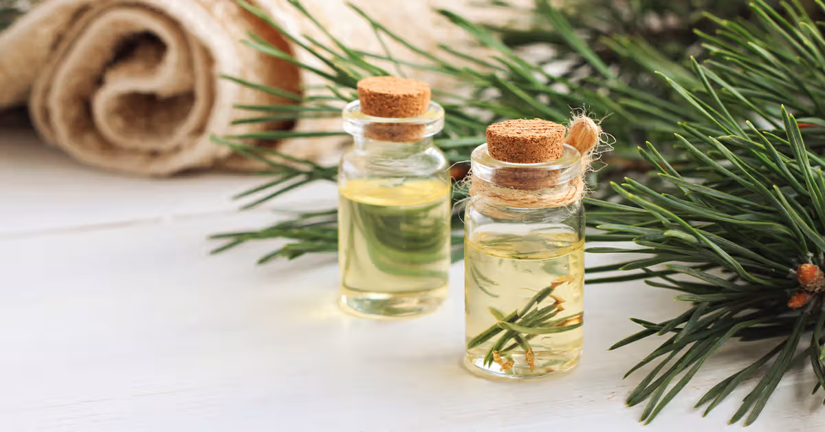 Pine OIl 4